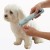 11545_10971.webp