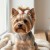 11651_11135.webp