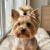 11650_11130.webp