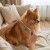 11642_11093.webp