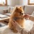 11640_11083.webp