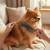 11639_11079.webp