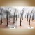 10707_10012.webp